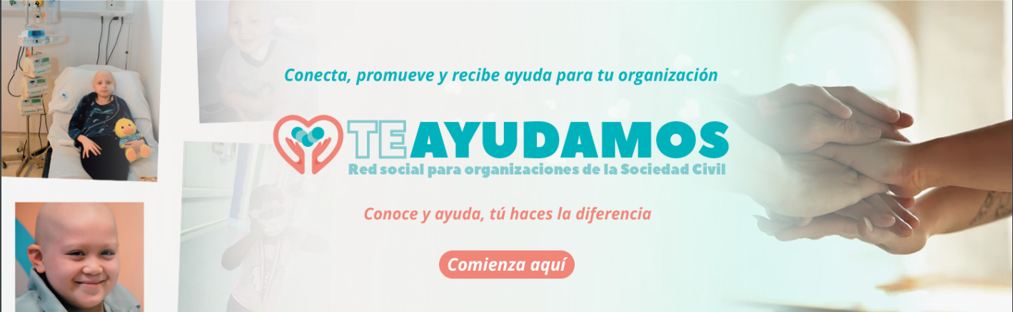 Descripción de la imagen